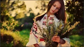 Горіла сосна палала Гарна українська пісня 