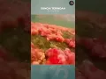 COBA PERHATIKAN SUNGAI TERINDAH INI. | #sungai #alam #pemandanganindah #videoviral