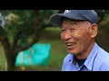 Japan’s Yuzu: The Citrus That Saved a Village | Documentary Food & Culture- AMP