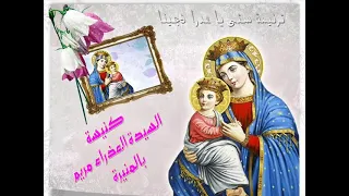 ترنيمة ستي يا عدرا نجينا 