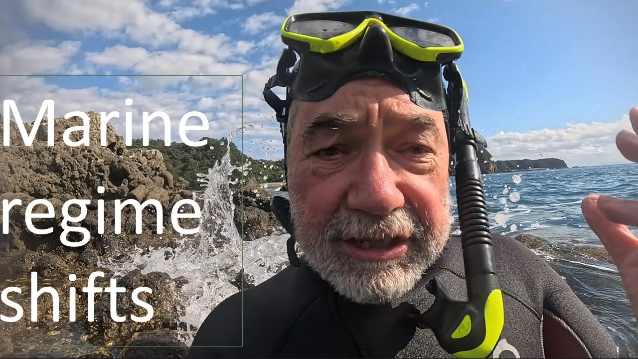 Ocean warming and acidification