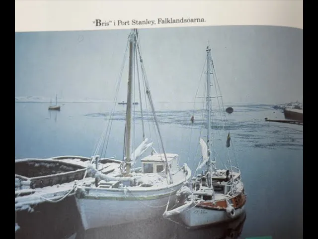 28 June 2025 Bris in the Falkland Islands