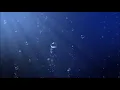 【中島みゆき】おばちゃんが歌う　荒野より＜歌詞付き＞