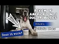 I tried PetLab Co s Probiotic Chews for my itchy paw licking Great Dane - Honest Dog Owner Review