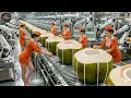 Inside a Modern Coconut Water Factory: From Green Nuts to Pure Hydration (Full Process)
