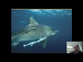 Ecological Relationships - MAHS ES