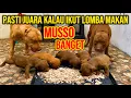 Download Lagu GAVI \u0026 MUSSO ANAKNYA RAKUSS SEKALI‼️