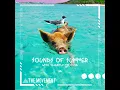 Sounds of Summer - The Movement & Slightly Stoopid