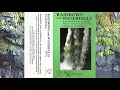 Donald Walters - Rainbows And Waterfalls [1983]