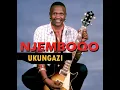Ibhongo (Album Version)