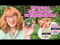 How To Load A Bath Body Works Car Fragrance Clip Demo