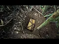 Download Lagu You Won’t Believe What I Found in This Ancient Treasure Chest #treasurehunt #ancient  #metaldetector