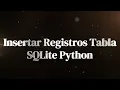 Insertar Registros Tabla SQLite Python - AprendamosconScorpionSecurity