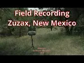 Download Lagu Zuzax New Mexico/ Field Recording /Soundscapes/Crow sounds/Wind Sounds/Sennheiser MKH 8040/Mixpre6II