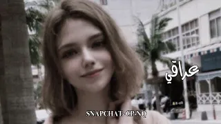 عراقي حزين   ضميتها بقلبي الك   من قلبك تحبني كنت   اغاني عراقي   مطلوبة اكثر شيء دندنها