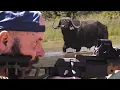 Lagu Hunting South Africa: 8.6 BLK vs. Cape Buffalo