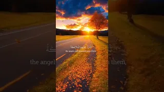 سورة فصلت القارئ اسلام صبحي 