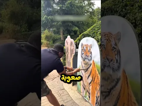 تحدّي شدّ الحبل ضد الحيوانات… النهاية غير متوقعة 🐯🐘