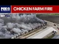 Fire at Wisconsin chicken farm FOX6 News Milwaukee