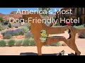 America s Most Dog-Friendly Hotel - Best Friends Roadhouse
