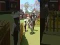 Download Lagu Polisi Cilik diKota Mini Lembang Bandung
