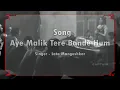 ऐ मालिक तेरे बंदे हम | Aye Malik Tere Bande Hum | #latamangeshkar #mannadey #hindisong