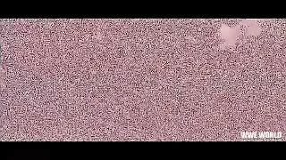wwe super show down 2018 highlights hd