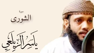 تلاوه هادئه سوره الشورى ألقارئ ياسر الزيلعي 