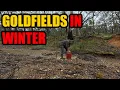 WINTER GOLD in the VICTORIAN GOLDFIELDS