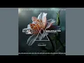 Download Lagu Nari, Steve Tosi - Dancing Queen (Funky Mix)