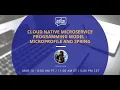 Cloud Native Microservice Programming Model Jakarta Tech Talks - March 2020