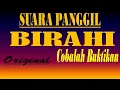 SUARA PANGGIL WALET BIRAHI SUPER RESPON DAN JERNIH