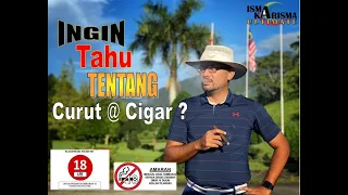 Download Ingin Tahu Tentang Curut @ Cigar - Versi Malaysia MP3