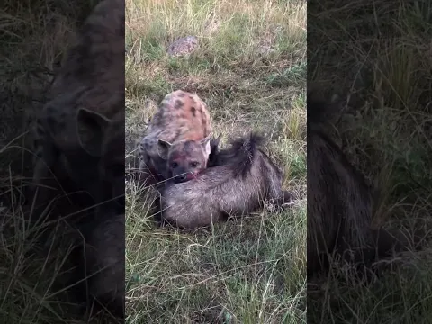 Nature doesn’t guarantee happy endings