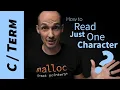 How to Read Just One Character from the Terminal stdin