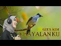 Download Lagu Khayalan Ku Gita KDI Cover -  Lyric #lyrics #lirik #liriklagu #music