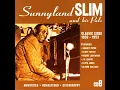 [Low Down] Sunnyland Train