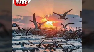 كريم منعم بر لطيف  نغمة رائعة دندنها