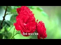 What A Wonderful World - Louis Armstrong - Lyric Video