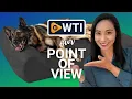 Big Barker Orthopedic Dog Beds Our Point Of View