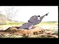 Download Lagu Closing To Winnie The Pooh And The Honey Tree 1997 VHS (Version #1)