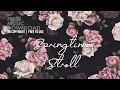 Download Lagu No Copyright Background Music - Springtime Stroll - [ aesthetic /chill / study / lofi ] Free to use MP3