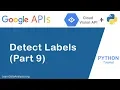 Google Vision API in Python Part 9 Labels Detection