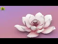 Meditation Music for Anxiety & Panic Attacks: Depression & Stress Healing Music, Relax Mind Body