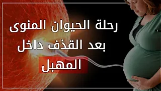 رحلة الحيوان المنى بعد القذف فى المهبل إلى تلقيح البويضة وحدوث الحمل فيلم قصير 
