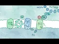 Photosynthesis Hack Could Lead to New Ways of Generating Renewable Energy