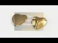 How to Use the Patch Command in Rhino Heart-Shaped Closed Polysurface