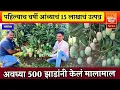 Lagu ♦️पहिल्याच वर्षी 500 झाडांचा 15 लाखाला सौदा👍आंबा लागवडीचं परफेक्ट नियोजन@maharashtramazanewsmarathi
