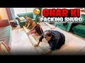 Download Lagu Ghar ki packing shuro ho gyi | Sitara yaseen vlog 