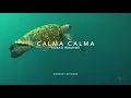 Robag Wruhme - CALMA CALMA / Speicher 115 - Kompakt
